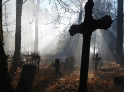 Человеческие останки принесло с размытого паводком могильника в Котово