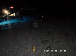 Под Волгоградом в ДТП погиб 27-летний водитель Opel