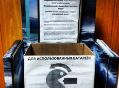 Волгоградские активисты собирают использованные батарейки, чтобы отправить за рубеж