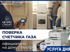 Поверка бытовых счетчиков газа на дому 