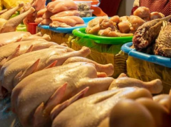 3,6% мясной продукции в Волгоградской области была заражена микробами