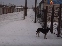 Мужчина замерз насмерть в пяти метрах от дома в Волгоградской области 