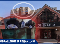 Мусорный бак посеял раздор между рестораном «Амирани» и волгоградцами из соседних домов