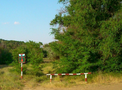В Волгоградской области продлен запрет на посещение лесов