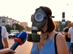 «Жара 40 градусов, на меня нападают насекомые!»: видео о Волгограде вызвало переполох в сети 