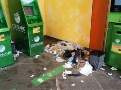 В Волгограде Сбербанк погряз в горах мусора с бродячими псами