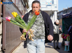 Заморозки до -5 градусов обещают синоптики в Волгоградской области