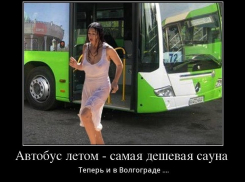 ТОП-10 смешных мемов и демотиваторов про жару в Волгограде 