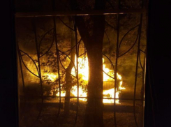 Сгорела только что купленная машина в Волгограде