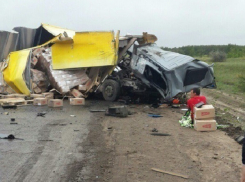 На трассе Волгоград-Сызрань грузовик протаранил автобус с полицейскими: 3 силовиков ранены