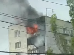 Охваченную огнем 9-этажку сняли на видео в Волгограде 