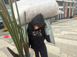 Блогер Аня Покров показала переезд на новую квартиру