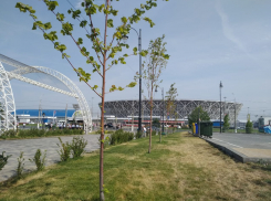 Стадион «Волгоград Арена» готовятся сдавать в аренду по частям