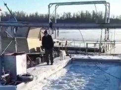 В Волгограде спасли с оторвавшейся льдины мужчину с собакой