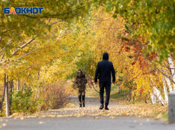 Мороз -6 градусов этой ночью прогнозируется в Волгоградской области