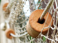 Волгоградец оштрафован на 600 тысяч за дачу взятки астраханскому полицейскому