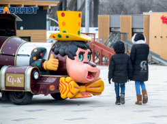 «Поиздевались над многодетными»: волгоградец показал изнанку некоторых льгот
