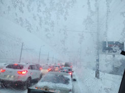 Волгоград парализовал снегопад: фото
