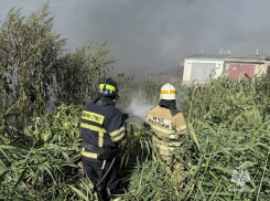 Крупный пожар у гаражного кооператива вспыхнул в Волгограде 