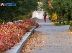 Геомагнитная буря и сильный ветер: погода в Волгограде на 7 ноября 