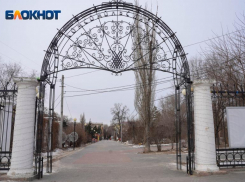 Велосипедные дорожки и скейтбординг: названы новые идеи для Комсомольского сада в Волгограде