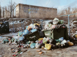 Мусорный оператор затерроризировал волгоградцев звонками о несуществующих долгах при растущих свалках