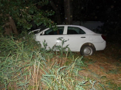 Под Волгоградом при столкновении авто с деревом пострадала 10-летняя девочка