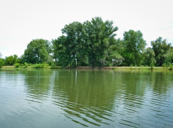 В Волго-Ахтубинскую пойму закачали 10,6 млн кубометров воды