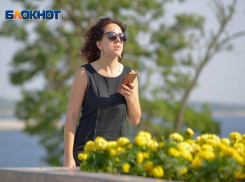 Погода балует волгоградцев: 11 сентября жара до +29º