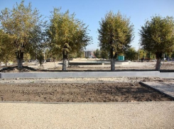 Парк в Советском районе Волгограда назвали в честь ДК Петрова