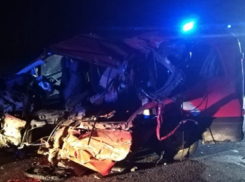 Три человека погибли и шесть пострадали в ДТП под Воронежем с большегрузом из Волгограда