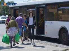 Лихач на легковушке врезался в автобус №35 в Волгограде: пострадала пассажирка