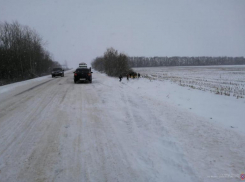 Снежные заносы на дорогах стали причиной серьезных ДТП в Волгоградской области