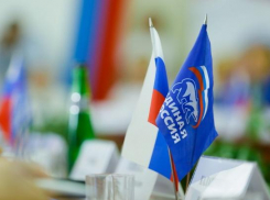 В Волгограде  политсовет «Единой  России»  обсуждает женщину