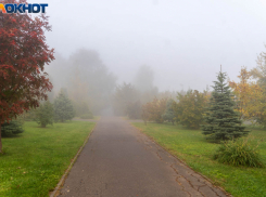 Сильный дождь и штормовой ветер ожидаются в Волгоградской области 