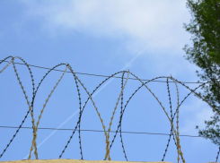 Шестерых нелегалов задержали на волгоградской «оптовке»