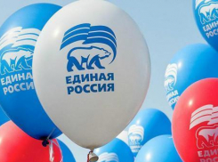 Гражданский активист попросил наградить члена «Единой России» за честность