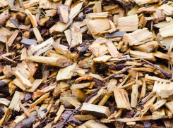 Куда сдать осыпающуюся ёлку, рассказали волгоградцам