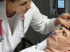 Сетки на окна и спреи от комаров помогут защититься от лихорадки Западного Нила, - Роспотребнадзор