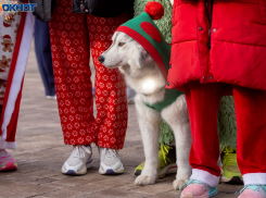 С январской жарой +8 волгоградцы проводят последний день каникул
