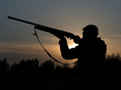 В Волгоградской области открывается охота на зайцев и лис