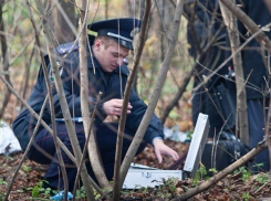 Обезглавленное тело неизвестной женщины найдено в Волжском