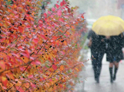 Начало осени принесет похолодание в Волгоградскую область