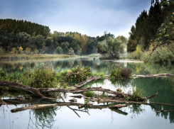 Житель Московской области трагически утонул в реке в Волгоградской области