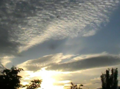 Погода мешает уфологам поймать НЛО в Волгоградской области