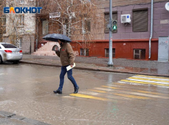 «Скудоумие и невежество проектировщиков», – градозащитник жестко раскритиковал волгоградских архитекторов