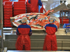 Под Волгоградом двое рецидивистов обокрали рыбный цех