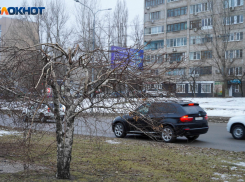 Дождливо и тепло до 4 градусов: погода в Волгограде и области на 4 февраля