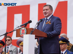 Волгоградский губернатор покорил Telegram