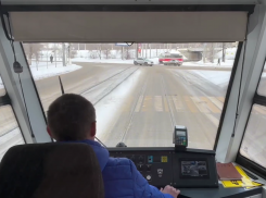 Чешского Франкенштейна пустили на работу в Волгограде 